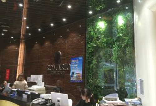 蓝狮在线全站经销商管理平台注册与资质审核入口图片